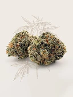 Apple Fritter (3.5g) Apple Fritter (3.5g)