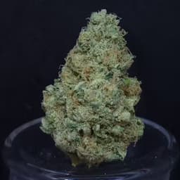 BAM Alaska PFD #10 3.5g Flower BAM Alaska PFD #10 3.5g Flower