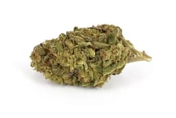 Big Foot OG Big Foot OG