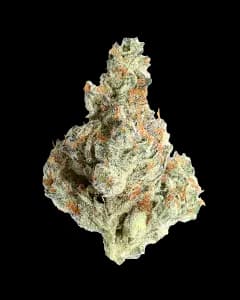 Boss Babe 1oz Boss Babe 1oz