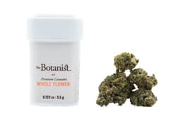 Botanist l Sour Banana Sherbet l 3.5g Botanist l Sour Banana Sherbet l 3.5g