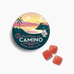 Camino Watermelon Lemonade "Bliss" Gummies Camino Watermelon Lemonade "Bliss" Gummies