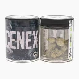 Phat Panda Cenex Phat Panda Cenex
