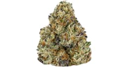 Cyattie Blem | Gelato x Mochi Cyattie Blem | Gelato x Mochi
