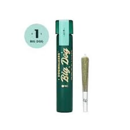 Dogwalkers l Zack's Cake Big Dog Pre Roll 1pk l 1g Dogwalkers l Zack's Cake Big Dog Pre Roll 1pk l 1g