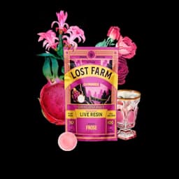 Dragonfruit x Frose 10 Pack Gummies | Lost Farm | Edible Dragonfruit x Frose 10 Pack Gummies | Lost Farm | Edible