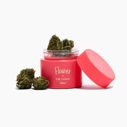 Flower Pot | Happiest Hour | Hybrid Flower Pot | Happiest Hour | Hybrid