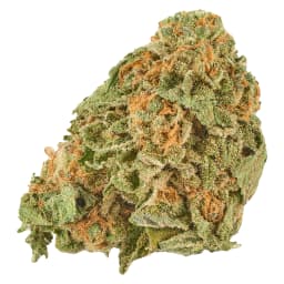 GOOD SUPPLY GRAND DADDY PURPS (IND) DRIED - 3.5G GOOD SUPPLY GRAND DADDY PURPS (IND) DRIED - 3.5G