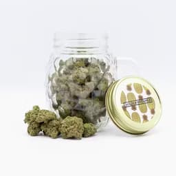 Phat Panda Golden Pineapple Phat Panda Golden Pineapple