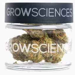 Grow Sciences Jar 3.7g Rainbow Sherbet Grow Sciences Jar 3.7g Rainbow Sherbet
