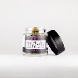 ILLICIT Clementine 3.5G Flower ILLICIT Clementine 3.5G Flower