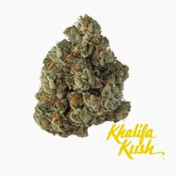 Khalifa Kush Khalifa Kush