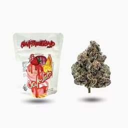 Oakfruitland Oak-Lato - 3.5g - Premium Flower Oakfruitland Oak-Lato - 3.5g - Premium Flower