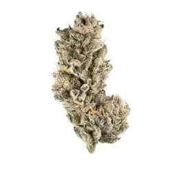 Purple Punch Purple Punch