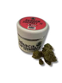 Rainbow Sherbet 11 Premium Flower 3.5g Jar Rainbow Sherbet 11 Premium Flower 3.5g Jar