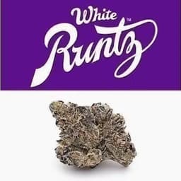 Runtz - White Runtz - Indoor - 1g Runtz - White Runtz - Indoor - 1g