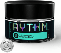 Brownie Scout Brownie Scout