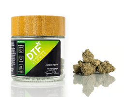 Cherry Treat DTF - Downtown Flower Cherry Treat DTF - Downtown Flower