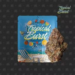 TROPICAL BURST- 3.5g TROPICAL BURST- 3.5g