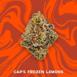 Vivid - Cap's Frozen Lemons - Sativa Vivid - Cap's Frozen Lemons - Sativa