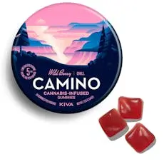 Camino Wild Berry - 100mg Camino Wild Berry - 100mg