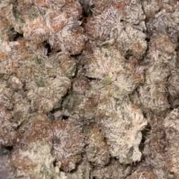 Zkittles x Runtz -3.5g Zkittles x Runtz -3.5g