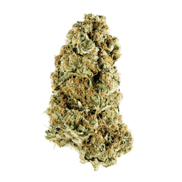 Animal Rntz INDICA • BY REDECAN Animal Rntz INDICA • BY REDECAN