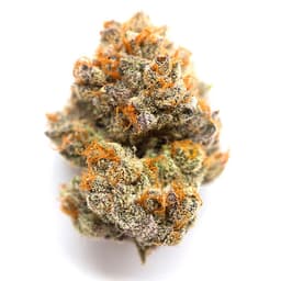 Cream & Sugar Cream & Sugar