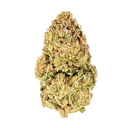 Cereal Milk Cereal Milk