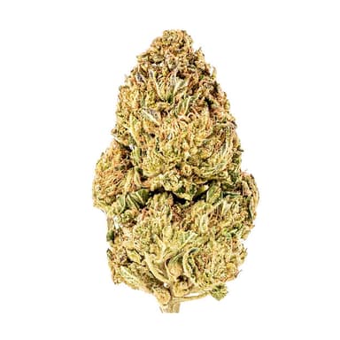 Cereal Milk Cereal Milk