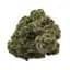 kosher kush kosher kush