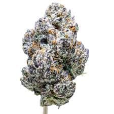 Candy Runtz Candy Runtz