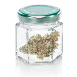 Kush Cream Airway Boys Kush Cream Airway Boys