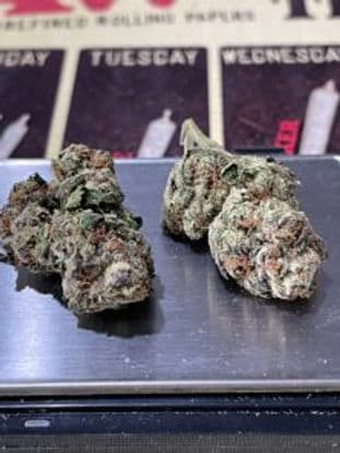 Tokyo Snow  28g OZ ON SALE SATIVA Tokyo Snow  28g OZ ON SALE SATIVA