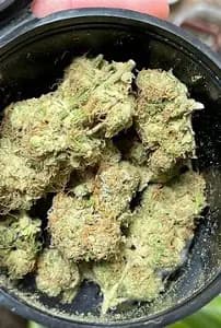 BC ORGANIC LIME MJITO 7G BC ORGANIC LIME MJITO 7G