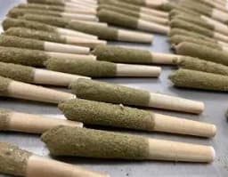 ATOMIC GMO INFUSED 5×0.5 ATOMIC GMO INFUSED 5×0.5