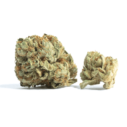 Santa Maria (ML)(3.5g) Santa Maria (ML)(3.5g)